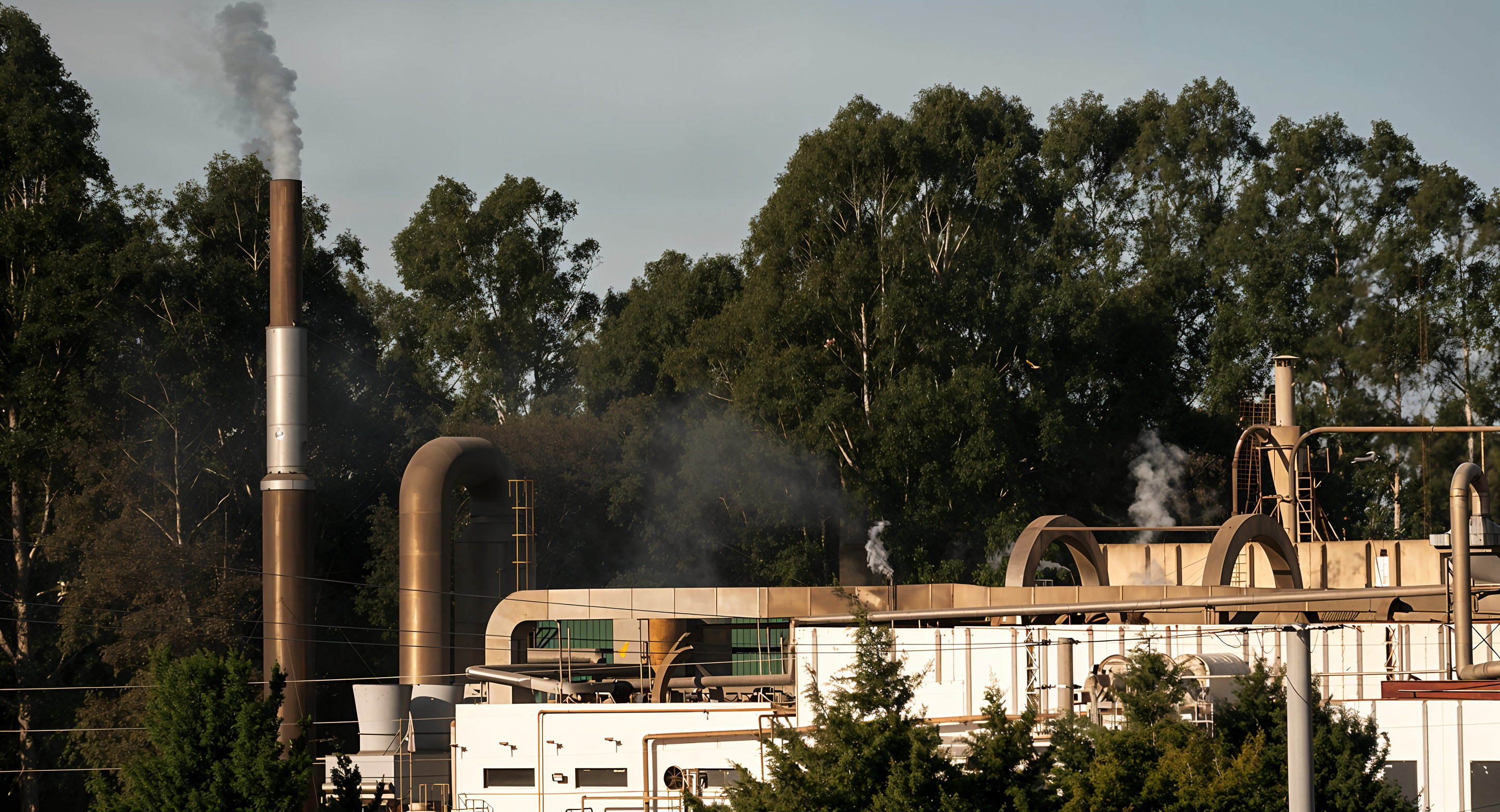 Co-generation station